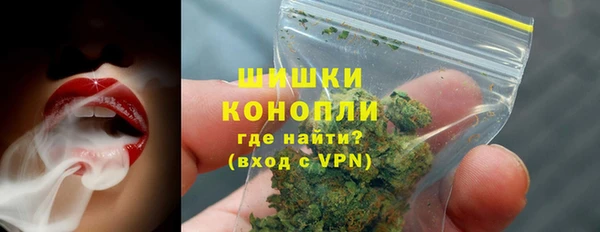 мдпв Верея