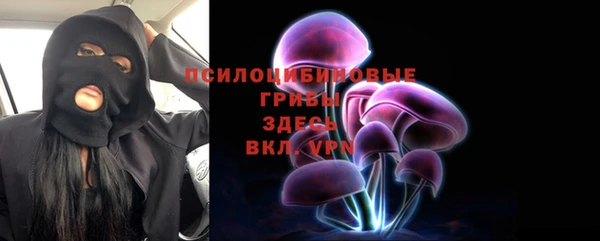 мдпв Верея