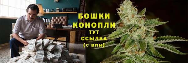 мдпв Верея
